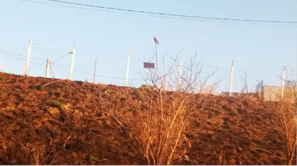 Projeto agroflorestal em Marília pede ajuda após incêndio criminoso