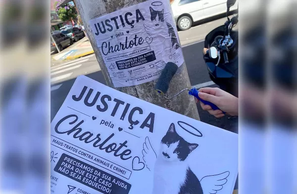 Protesto pede justiça após mortes cruéis de cão e gata em Garça. Ativista pede nova prisão de um dos envolvidos