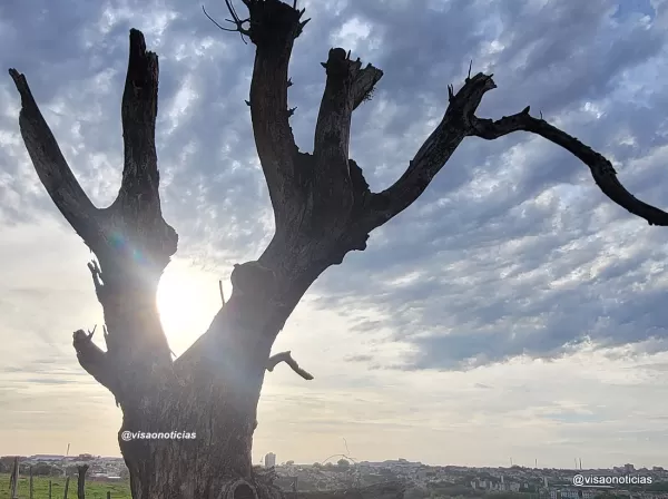 Horóscopo: previsão para o seu signo nesta quarta-feira (dia 21)