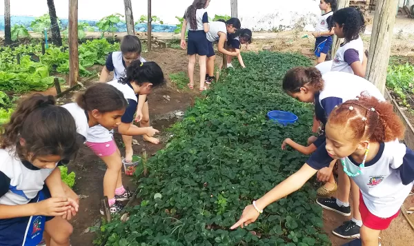 Programa Escola em Tempo Integral: Prefeitura de Marília recebe R$ 1 milhão do Ministério da Educação
