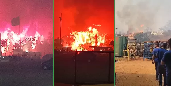 Incêndios florestais avançam em toda a região de Marília