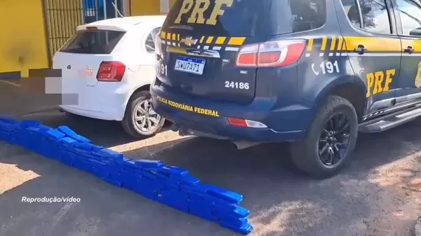 PRF apreende mais de 100 kg de maconha após cheiro forte da droga denunciar carga escondida