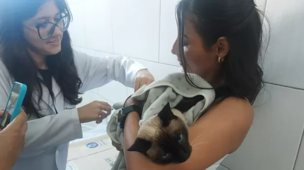 Zona norte de Marília terá campanha de vacinação antirrábica