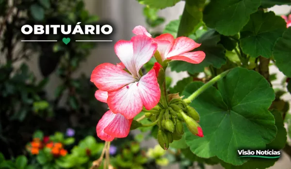 Obituário: Marília e região se despedem de seus entes queridos nesta quarta-feira