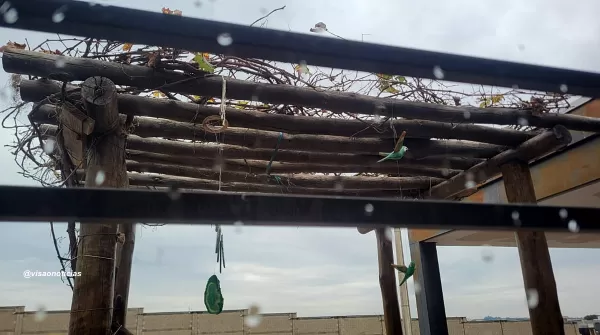 Região de Marília terá semana com chuva e grande variação de temperatura