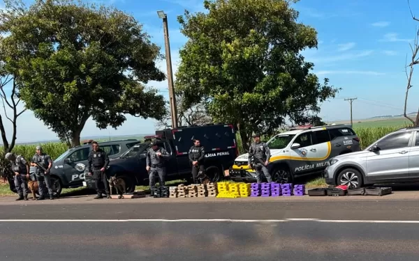 Mulher é recrutada pelo tráfico via WhatsApp para transportar 140 kg de maconha e acaba presa em operação