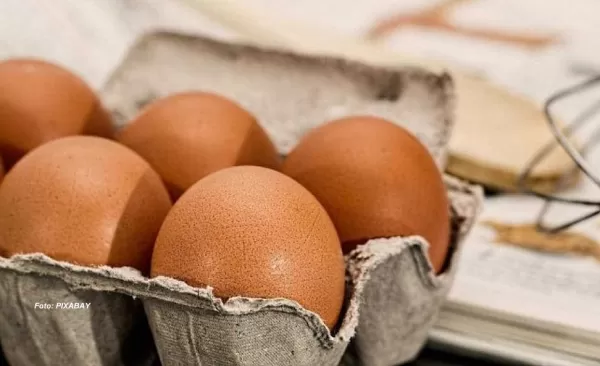 Enfermidades curadas com um ovo? Idoso cai em golpe