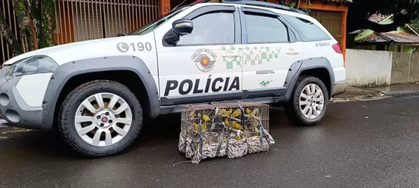 Homem mantém aves em cativeiro e leva multa de R$ 28 mil