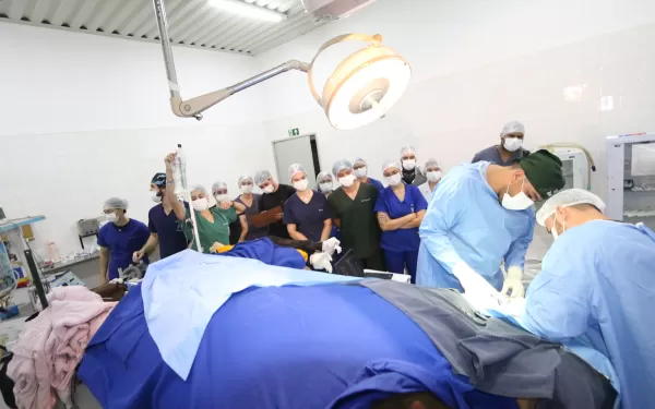 Unimar abre inscrições para o Programa de Aprimoramento Profissional em  Medicina Veterinária