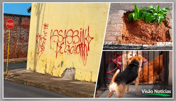Morte do cãozinho Sabonete a tiros após cavar buraco revolta moradores e caso vai parar na polícia