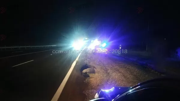 Peça deixada na SP-294 pode ajudar polícia a identificar veículo que atropelou e matou pedestre em Tupã