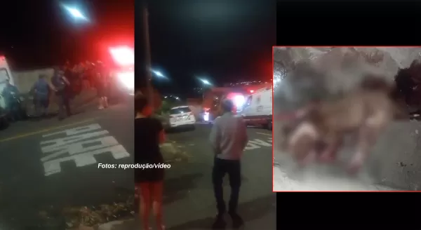 Homem fica gravemente ferido ao ser atacado por cão pitbull em Marília. Animal teve que ser sacrificado