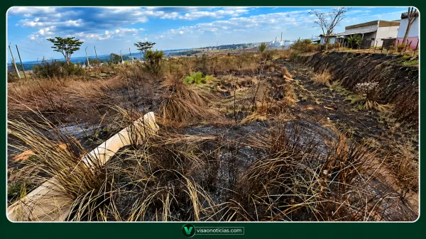 Queimada às margens da SP-294 em Marília atinge área equivalente a 10 campos de futebol