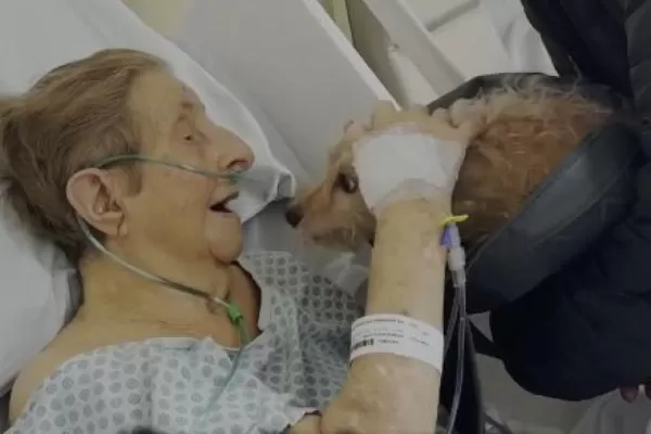 Mulher internada em hospital morre depois de receber visita do seu fiel companheiro, o cãozinho Dudu