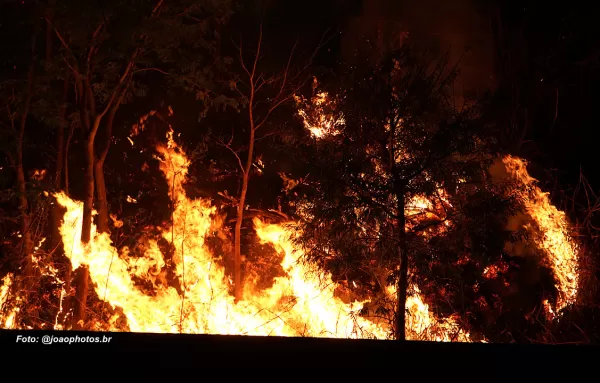 Queimada às margens da rodovia do Contorno ameaça segurança de motoristas
