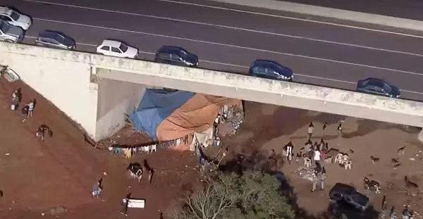 Desabrigados moram em barracas, carros e debaixo da ponte após cheia do rio Guaíba em RS 
