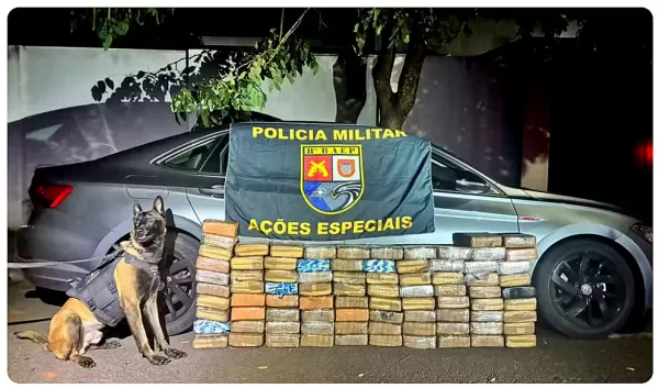 Excesso de peso em carro chama atenção e BAEP apreende 130 kg de maconha