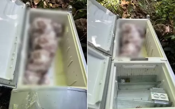 Mulher encontrada morta em geladeira foi assassinada pela filha e por genro