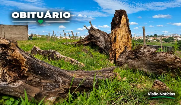 Obituário deste domingo: despedidas em Marília e região