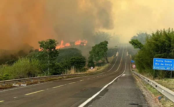 Polícia de Marília investiga incêndio que causou grande destruição em duas fazendas