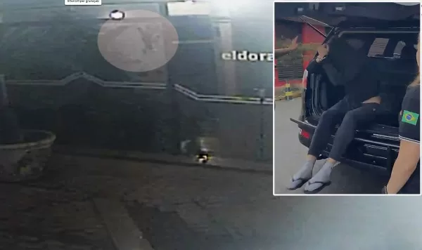 Rapaz é preso acusado de matar e queimar um gato