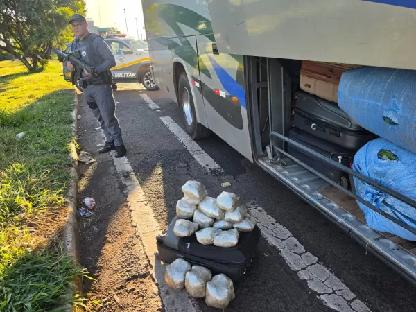 Polícia Rodoviária apreende mais de meia tonelada de drogas em ônibus na região
