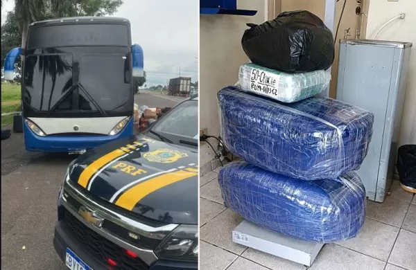 PRF apreende 124 quilos de folhas de coca em ônibus e prende bolivianos