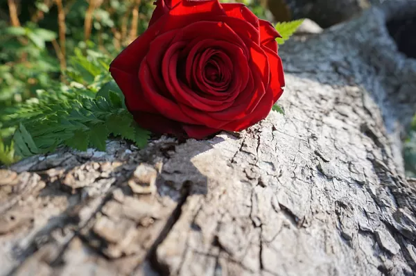 Obituário: sepultamentos previstos para este sábado (11/04) em Marília e região