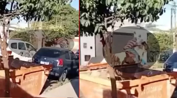 Homem foge a cavalo após ameaçar ex-namorada e é perseguido pela PM