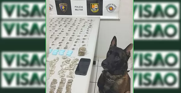 BAEP faz operação em Marília e apreende drogas na zona oeste