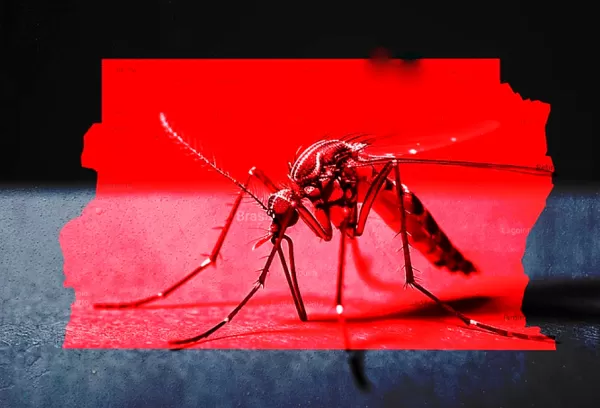 Marília e região começam 2026 sem casos de dengue