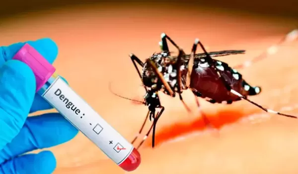 Dengue: Prefeitura confirma mais uma morte em Marília. Estado fala em duas