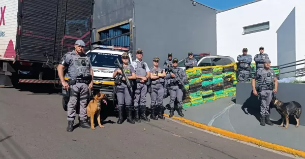 Mais de 1,3 tonelada de drogas é encontrada escondida em carga de estofados