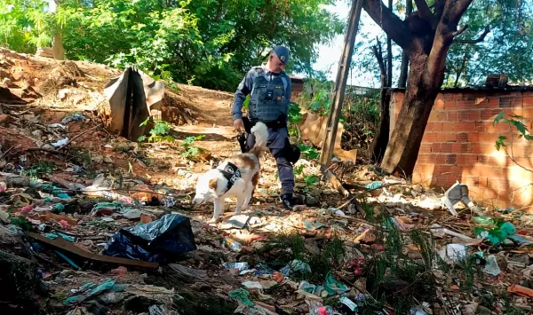 BAEP realiza operações em Marília e apreende grande quantidade de drogas 