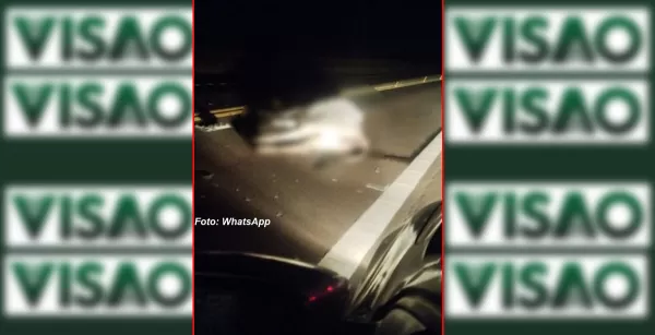 Perigo: bovinos na pista provocam acidente envolvendo dois veículos