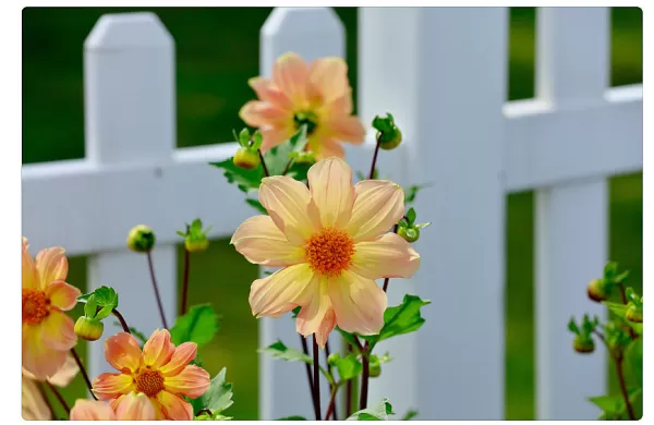 Sepultamentos previstos para esta quarta-feira (29/04) em Marília  e região