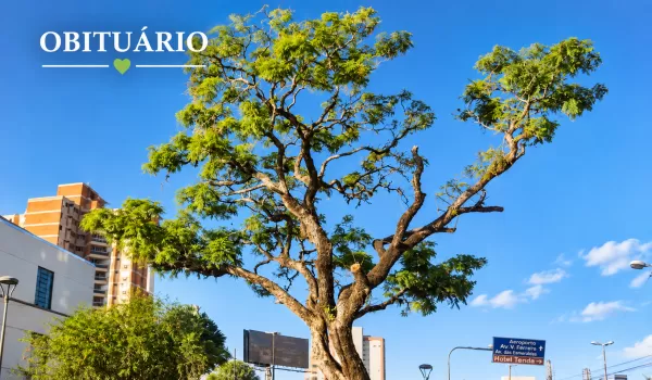 Quem nos deixou: registros deste domingo em Marília e região