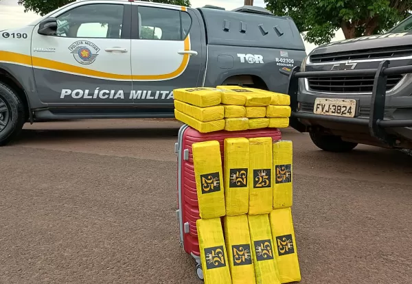 Mulher é presa transportando droga em ônibus