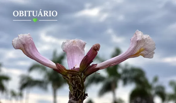 Marília e região: confira o obituário desta quinta-feira 
