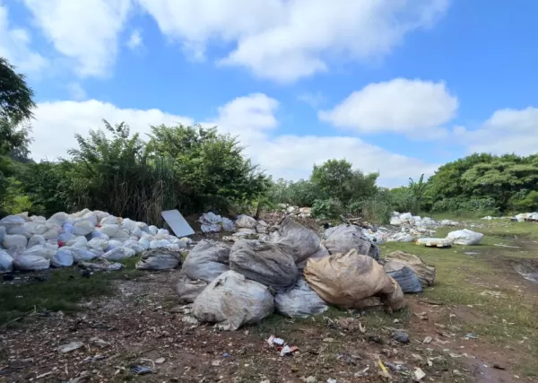 Crimes ambientais: Prefeitura e Polícia Ambiental intensificam fiscalização em Marília