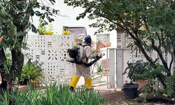 Prefeitura de Vera Cruz intensifica combate ao mosquito da dengue com nebulização na área central