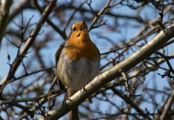 Horóscopo: previsão para o seu signo nesta quarta-feira (dia 28 de janeiro)
