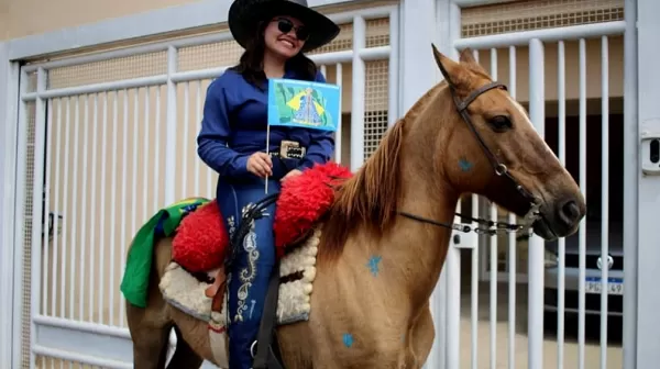 Família oferece recompensa por cavalo desaparecido em Marília