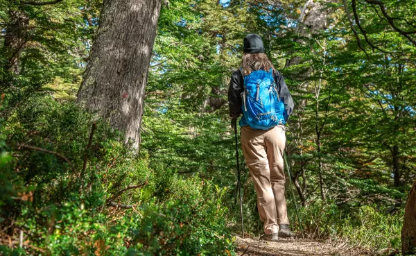 Vai se aventurar em trilhas nas férias? Defesa Civil e Bombeiros dão dicas sobre segurança