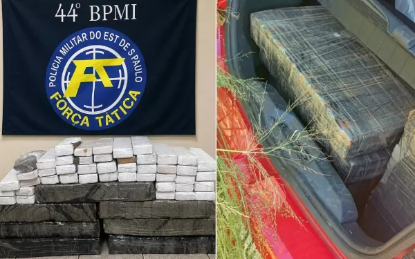 Ações da PM apreendem mais de 110 kg de drogas e armas, na região