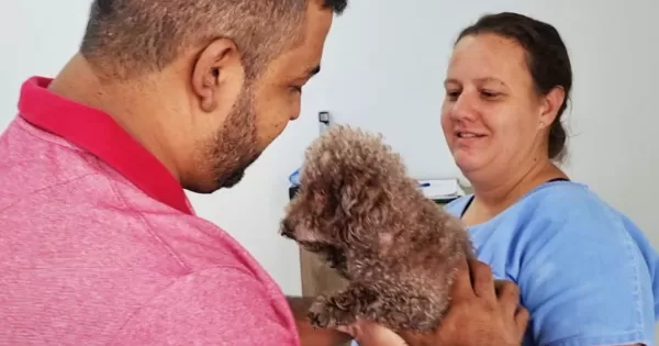 Final feliz: pets perdidos em Marília são resgatados e entregue aos tutores
