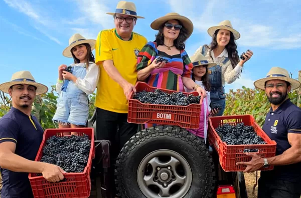 PRAIA DO VALLE: Vinícola Dom Alonso abre 2ª Colheita de Uvas e prepara Festa da Vindima