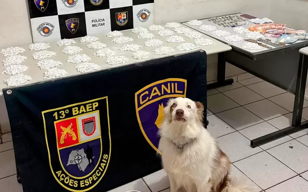 BAEP faz operação em Marília e apreende grande quantidade de drogas