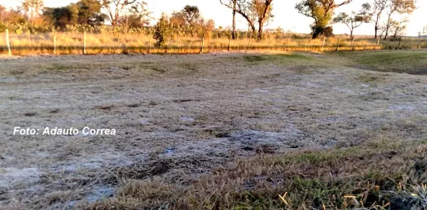 Alerta de geada: como proteger a lavoura para a onda de frio 