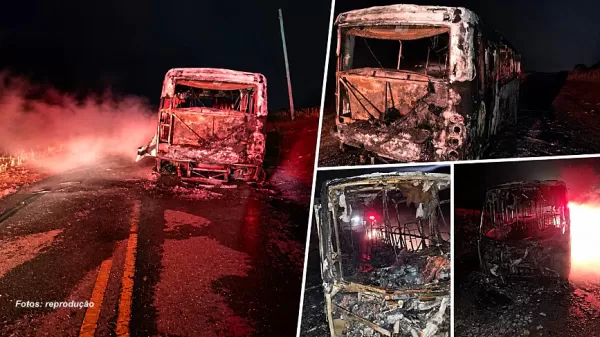 Ônibus com estudantes pega fogo e fica destruído em estrada rural